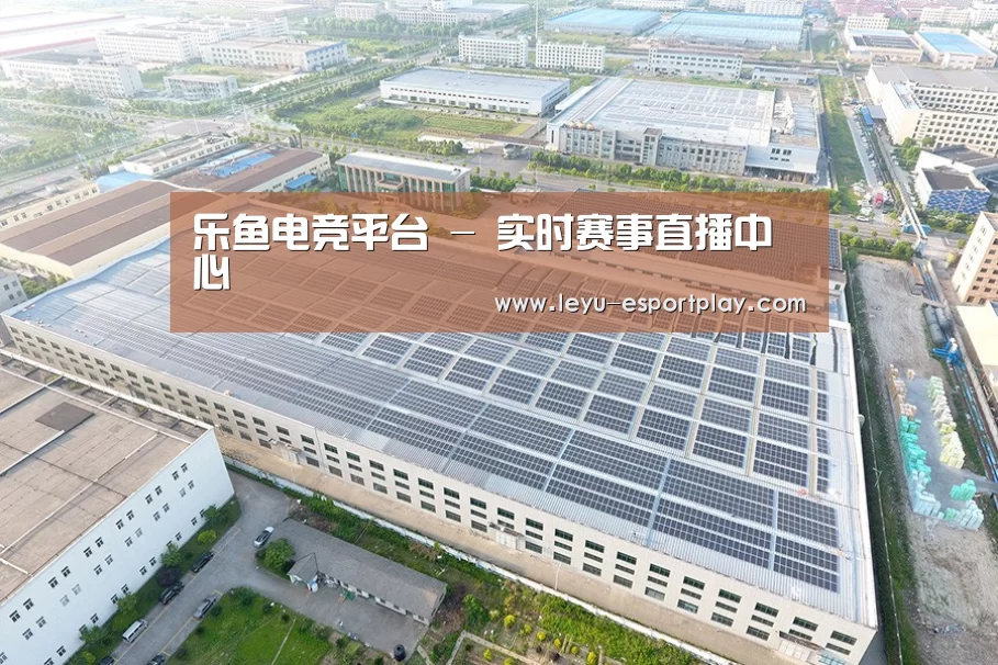 案例展示二