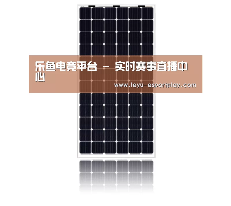 产品名称五