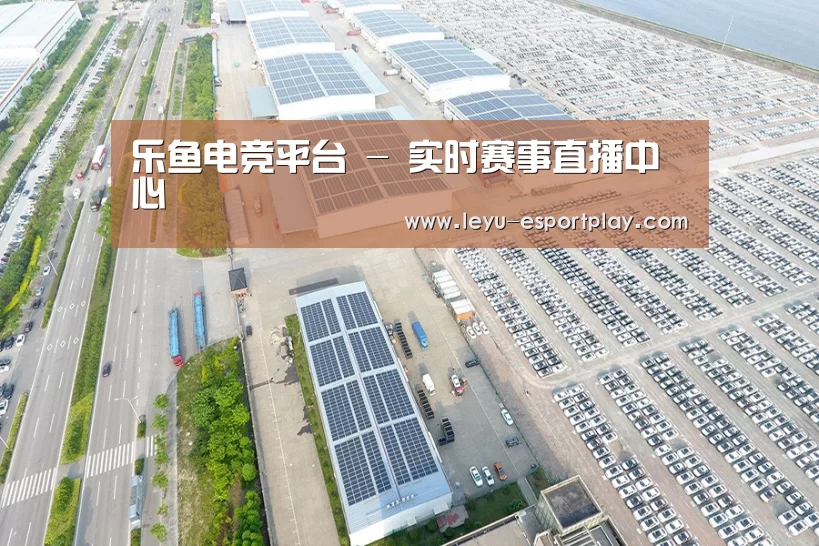 案例展示二