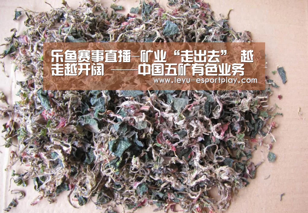 乐鱼赛事直播-矿业“走出去” 越走越开阔 ——中国五矿有色业务的海外成长之路(图2) 乐鱼赛事直播