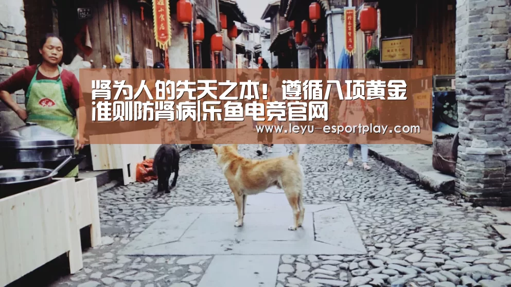 肾为人的先天之本!遵循八项黄金准则防肾病|乐鱼电竞官网(图2) 乐鱼电竞