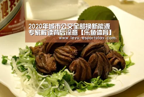 2020年城市公交全部换新能源 专家解读背后深意【乐鱼体育】(图1) 乐鱼体育