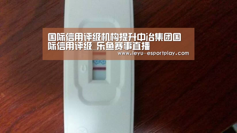 国际信用评级机构提升中冶集团国际信用评级_乐鱼赛事直播(图1) 乐鱼赛事直播